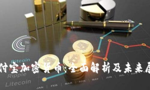 支付宝加密货币：全面解析及未来展望