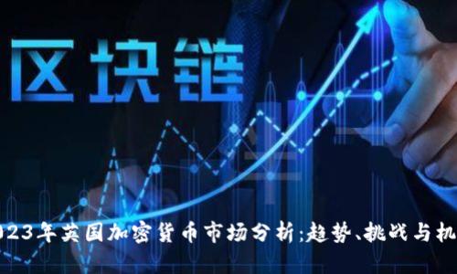 2023年英国加密货币市场分析：趋势、挑战与机遇