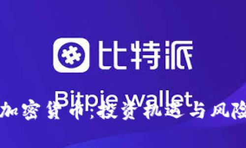 亿枚加密货币：投资机遇与风险分析