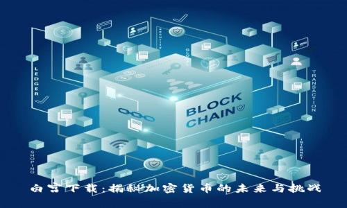 白宫下载：揭秘加密货币的未来与挑战