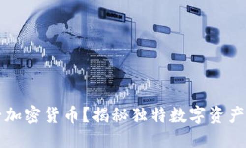 什么是唯一加密货币？揭秘独特数字资产的未来潜力