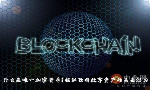 什么是唯一加密货币？揭秘独特数字资产的未来潜力