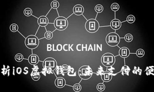 全面解析iOS虚拟钱包：未来支付的便捷选择