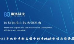 2023年比特币排名前十持币