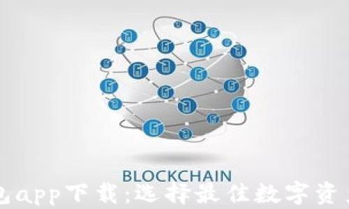 
以太坊钱包app下载：选择最佳数字资产管理工具