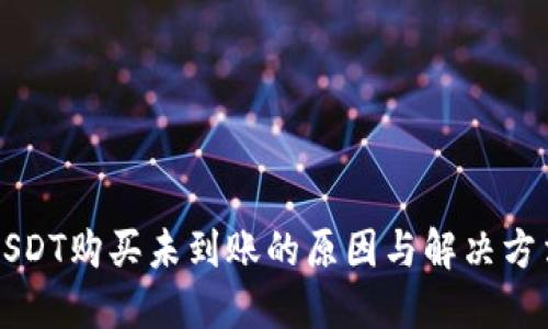 USDT购买未到账的原因与解决方法