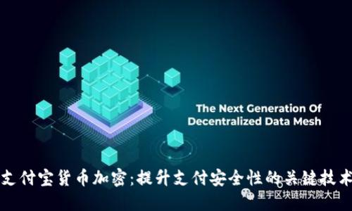 支付宝货币加密：提升支付安全性的关键技术