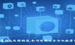  数字钱包选择指南：如何