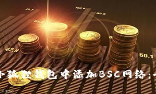 如何在小狐狸钱包中添加BSC网络：全面指南