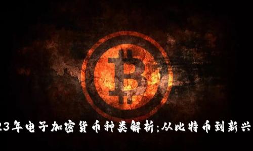2023年电子加密货币种类解析：从比特币到新兴项目