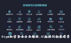 Doge加密货币全面解析：从