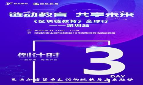 巴西加密货币支付的现状与未来趋势