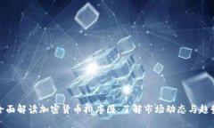全面解读加密货币排序图