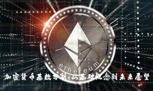 加密货币基数分析：从基础概念到未来展望