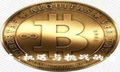 加密货币：机遇与挑战的