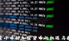 探索小币种加密货币的机