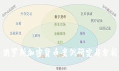 俄罗斯加密货币案例研究