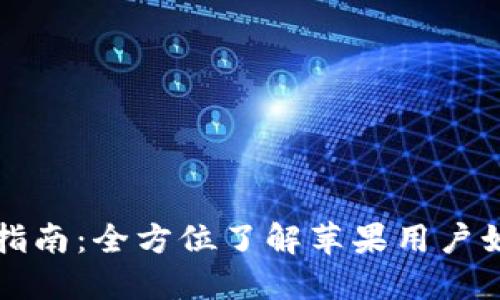 USDT钱包APP下载指南：全方位了解苹果用户如何安全下载与使用