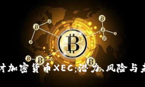 优质  
深入探讨加密货币XEC：潜力、风险与未来发展