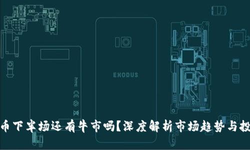 加密货币下半场还有牛市吗？深度解析市场趋势与投资策略