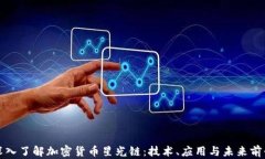 深入了解加密货币星光链