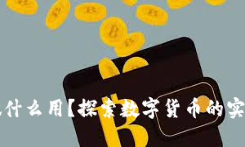 加密货币到底能做什么用？探索数字货币的实际应用与未来潜力