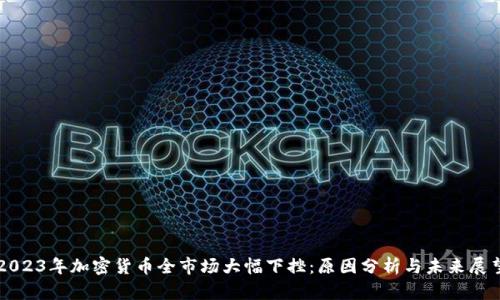 2023年加密货币全市场大幅下挫：原因分析与未来展望