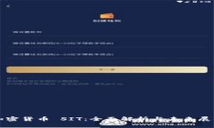 加密货币 SIT：全面解析与