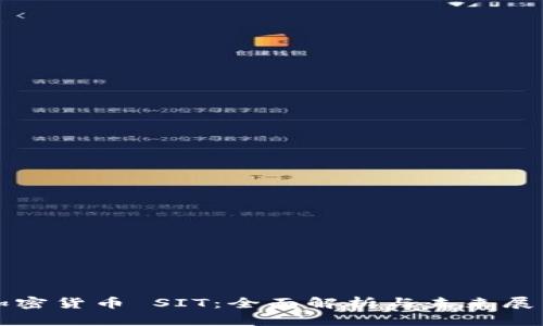 加密货币 SIT：全面解析与未来展望