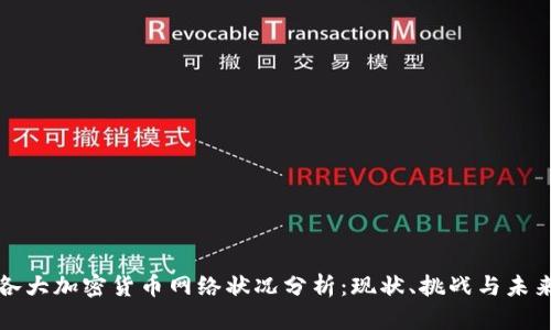 各大加密货币网络状况分析：现状、挑战与未来