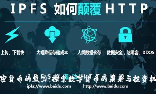 加密货币的魅力：探索数字货币的未来与投资机会