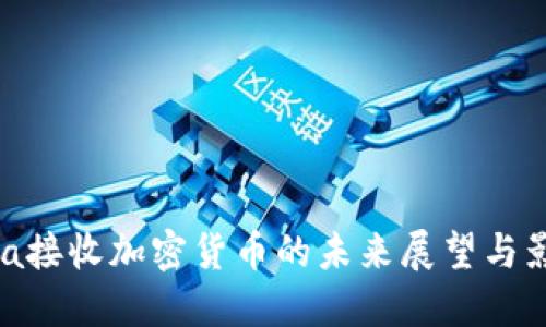 Visa接收加密货币的未来展望与影响