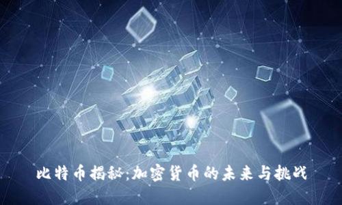 比特币揭秘：加密货币的未来与挑战