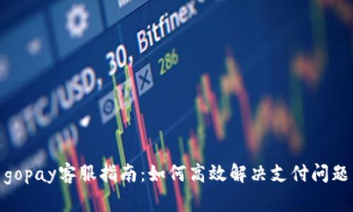 gopay客服指南：如何高效解决支付问题
