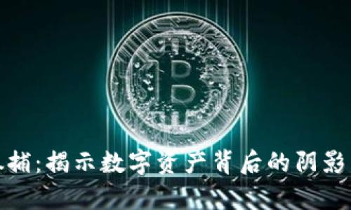 加密货币抓捕：揭示数字资产背后的阴影与法律挑战