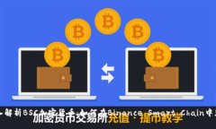 深入解析BSC加密货币：如