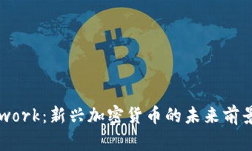 Pi Network：新兴加密货币的未来前景与挑战