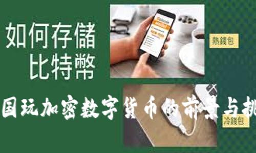 韩国玩加密数字货币的前景与挑战