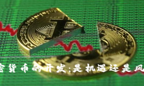 加密货币的开发：是机遇还是风险？
