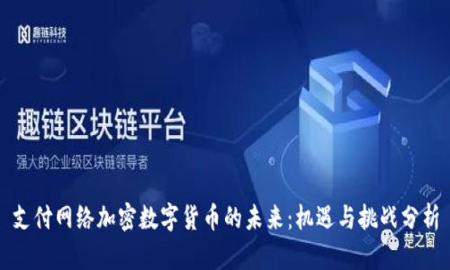 支付网络加密数字货币的未来：机遇与挑战分析