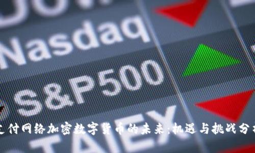 支付网络加密数字货币的未来：机遇与挑战分析