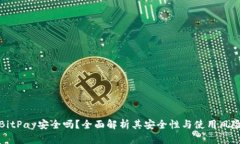 BitPay安全吗？全面解析其