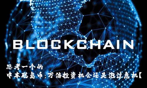 思考一个的  
中本聪岛币：万倍投资机会还是泡沫危机？