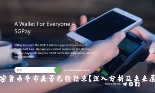 加密货币牛市是否已经结束？深入分析及未来展望