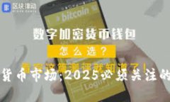 非洲加密货币市场：2025必