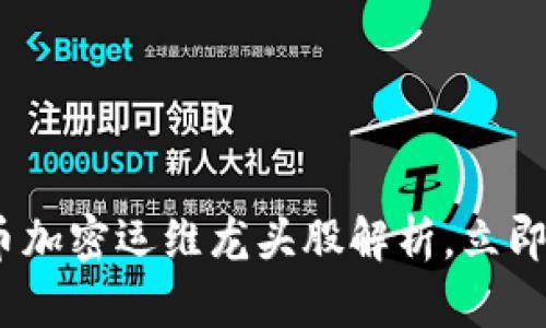 2025必看：数字货币加密运维龙头股解析，立即了解行业发展趋势！