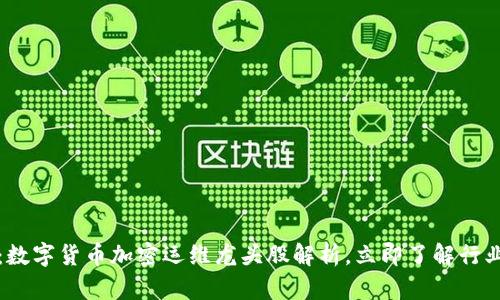 2025必看：数字货币加密运维龙头股解析，立即了解行业发展趋势！