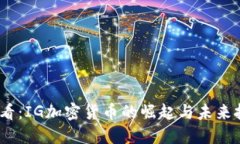 2025必看：IG加密货币的崛