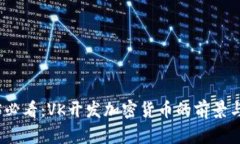 2025必看：VK开发加密货币