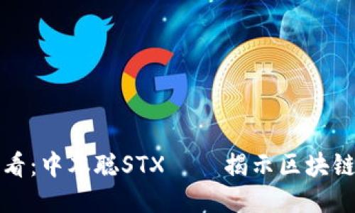 2025必看：中本聪STX——揭示区块链的未来！